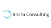 bricsa-cosulting-logo